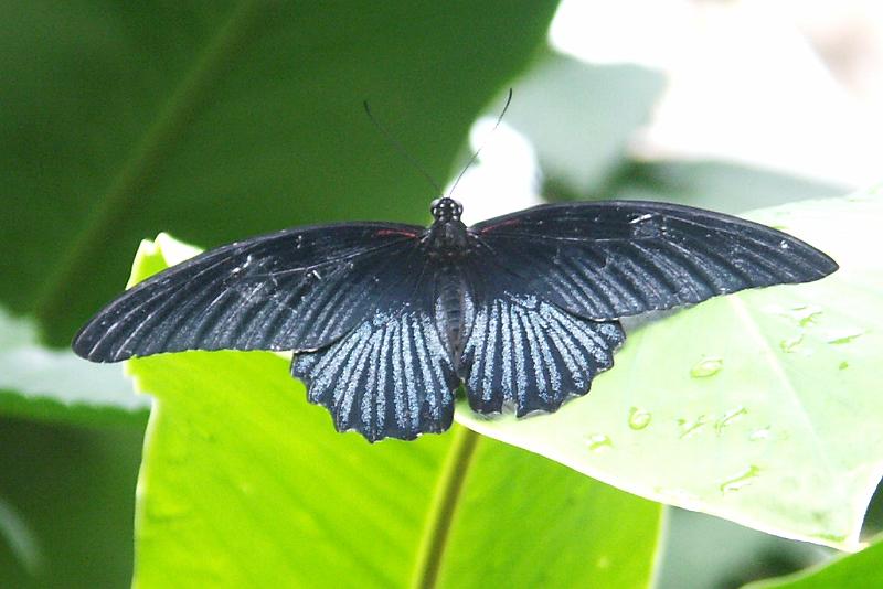 PICT0054.JPG - KONICA MINOLTA DIGITAL CAMERA