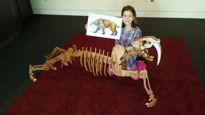 Aviel_assembling_Sabre_tooth_tiger_skelton.jpg