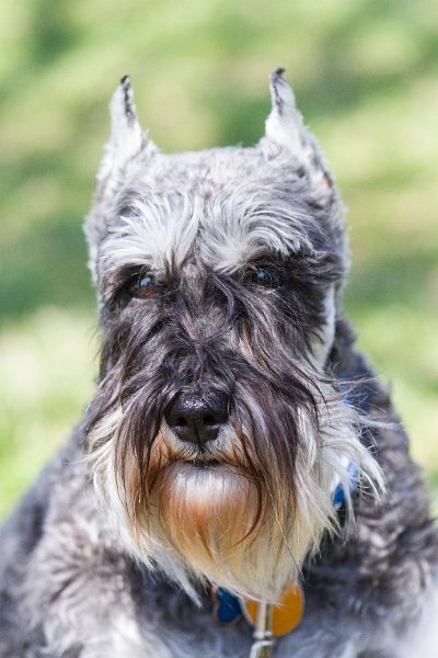 IMG_1765-2.jpg - Joanzy