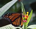 IMG_2052-2