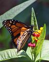 IMG_2056-2
