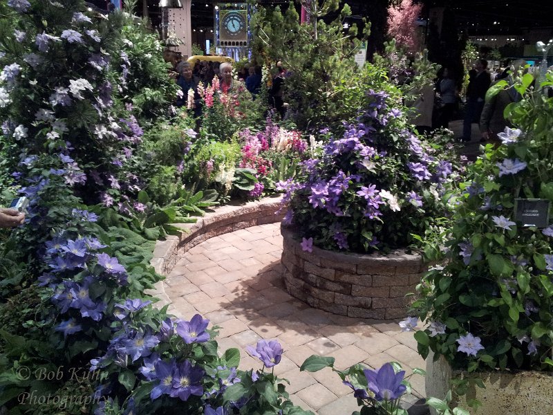 32-2.jpg - User comments