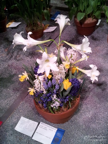 59-2.jpg - User comments