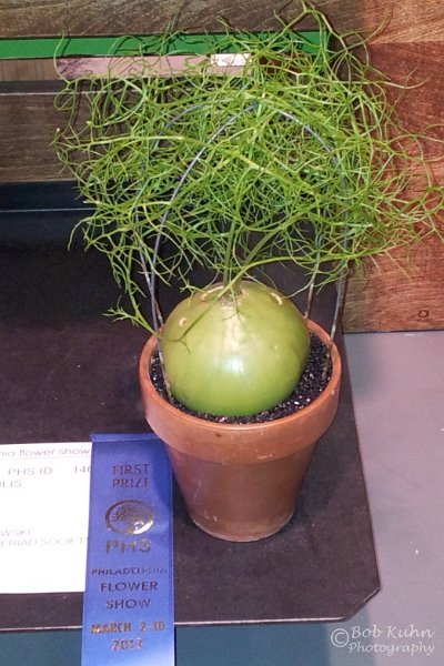 61-2.jpg - User comments