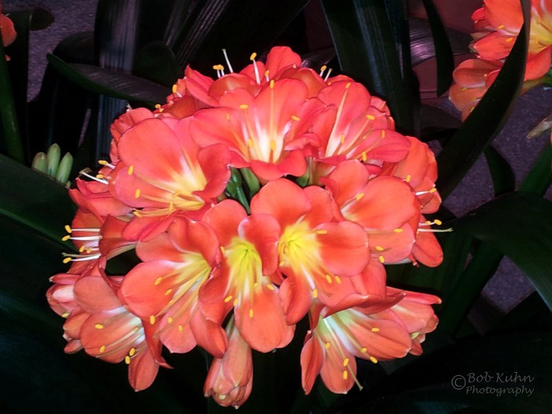 66-2.jpg - User comments