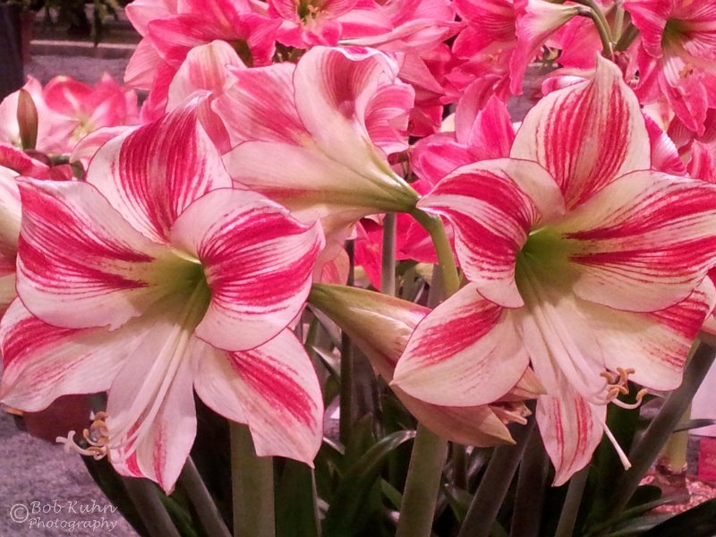 70-2.jpg - User comments