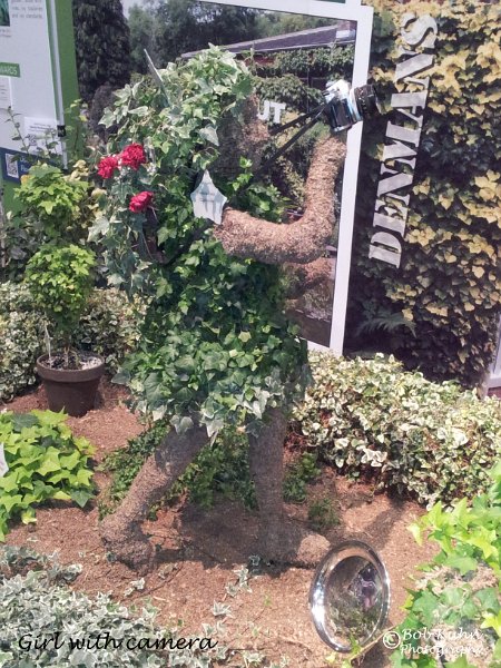 74-2.jpg - User comments