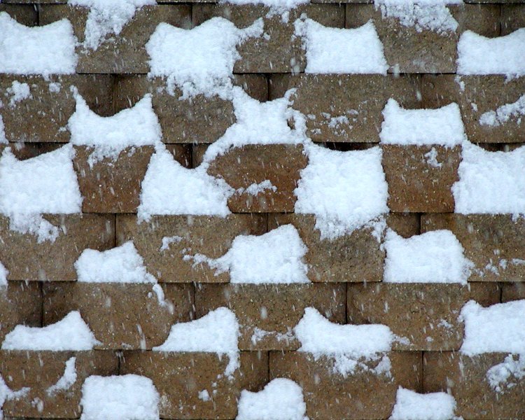 P2070180-c.jpg - OLYMPUS DIGITAL CAMERA