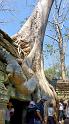 IMG_7369-P1010363-2