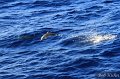 IMG_1982-2