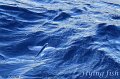 IMG_2007-3