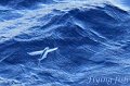 IMG_2008-3