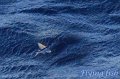 IMG_2022-3