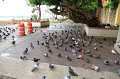 IMG_1945