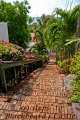 IMG_1820-2