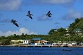IMG_1597-2
