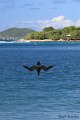 IMG_1615-2