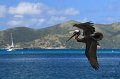 IMG_1623-2