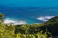 IMG_1516-2