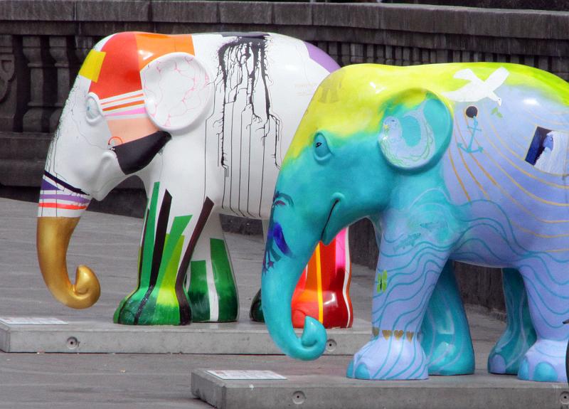 Elephant-IMG_0871-2.jpg