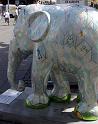 Elephant-IMG_0037-2