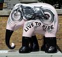 Elephant-IMG_0210-2