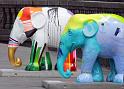 Elephant-IMG_0871-2