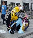 Elephant-IMG_9986-2